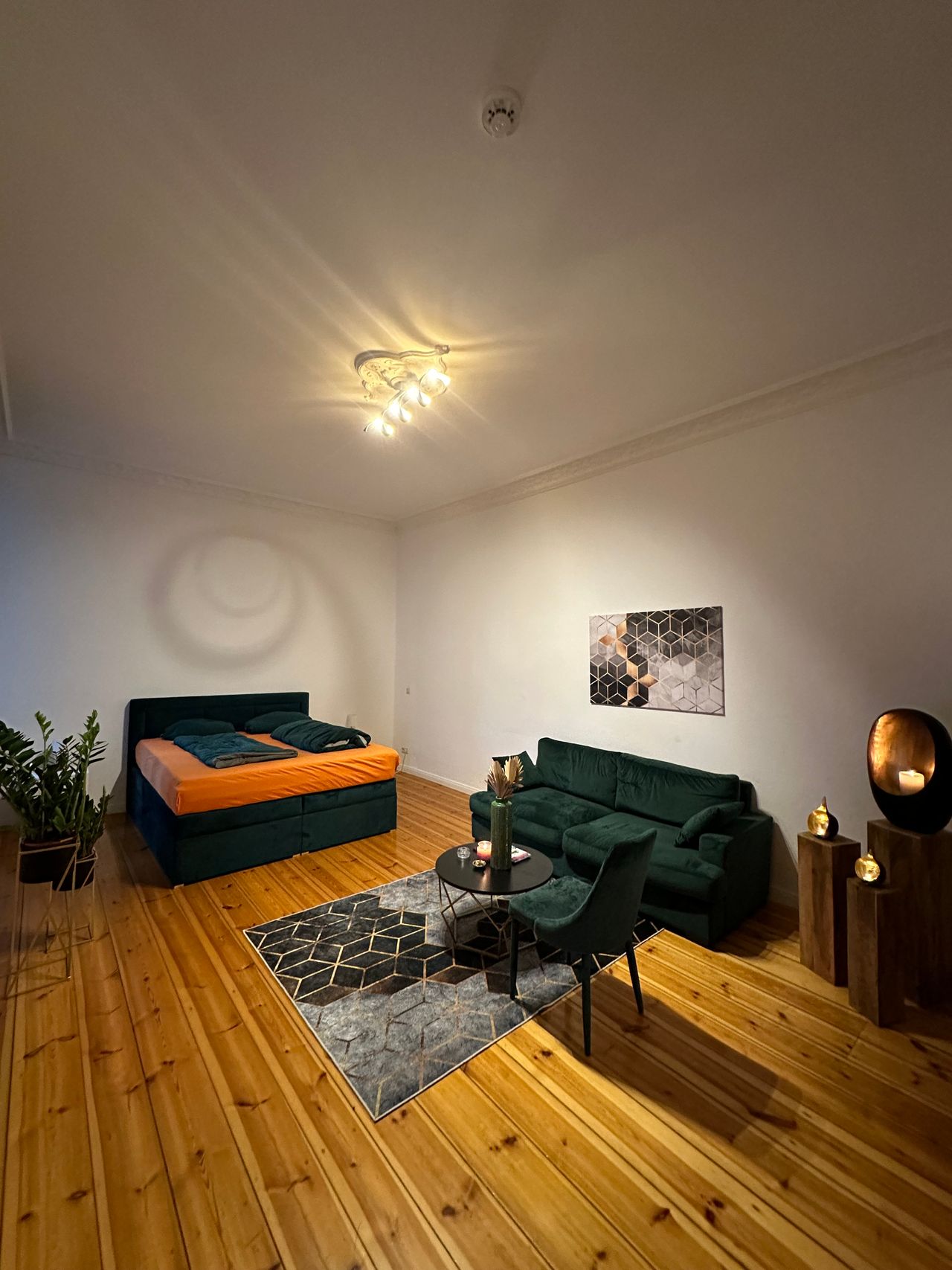 Awesome studio in popular area