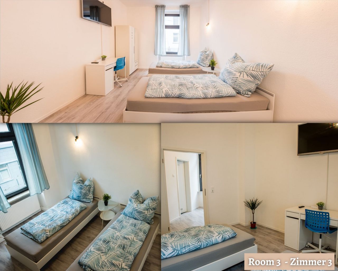 A BIG renovated 4 rooms Apartment with complete and high-quality equipment for rent