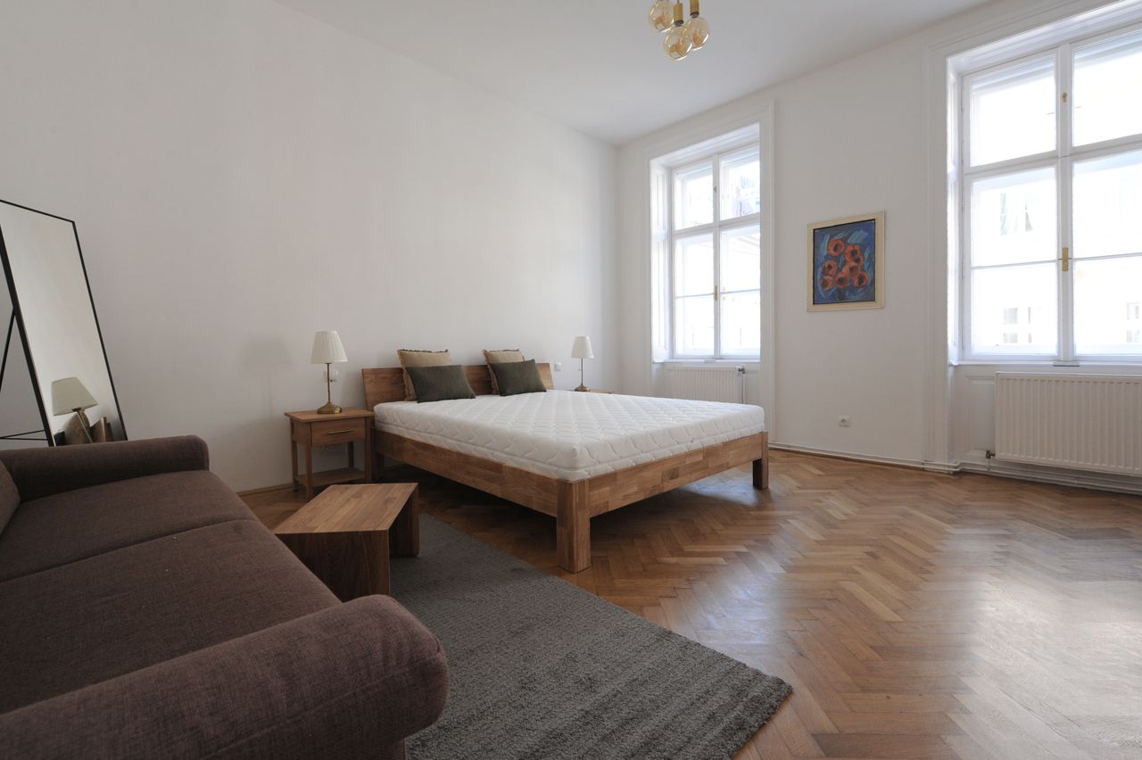 Beautiful, spacious apartment near the city center (Vienna)