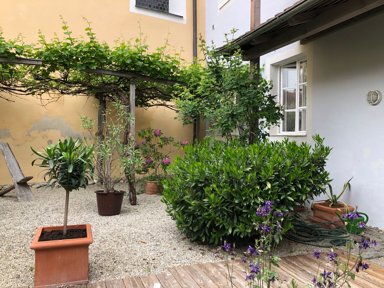 Charming, fully furnished 2-room flat in the listed town hall - view of the castle ruins