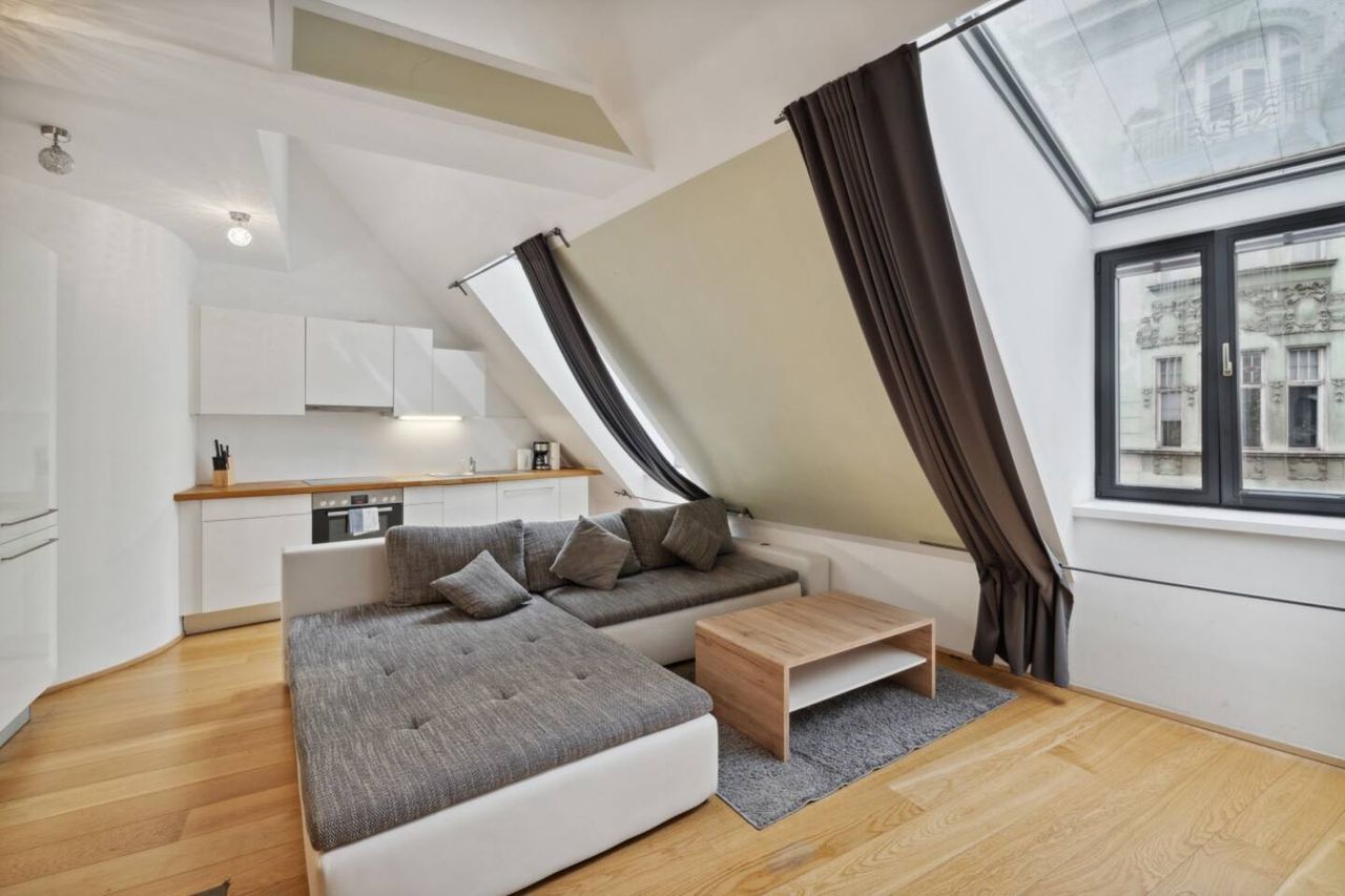 Spacious family friendly apartment in Vienna