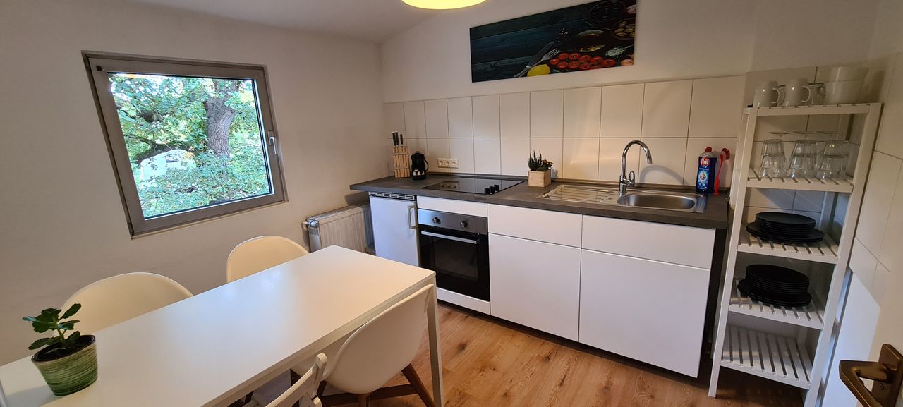 Roof top apartment in central location of Mainz incl parking
