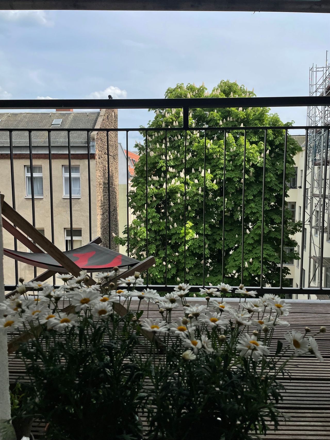 Modern Kreuzberg apartment with quiet backyard and view on Fernsehturm