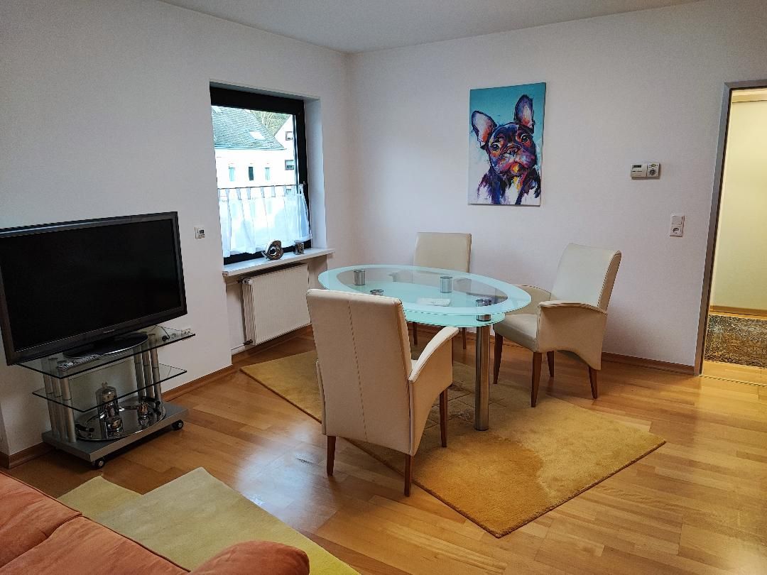 Amazing, upscale apartment close to city, walking distance to fortress Ehrenbreitstein