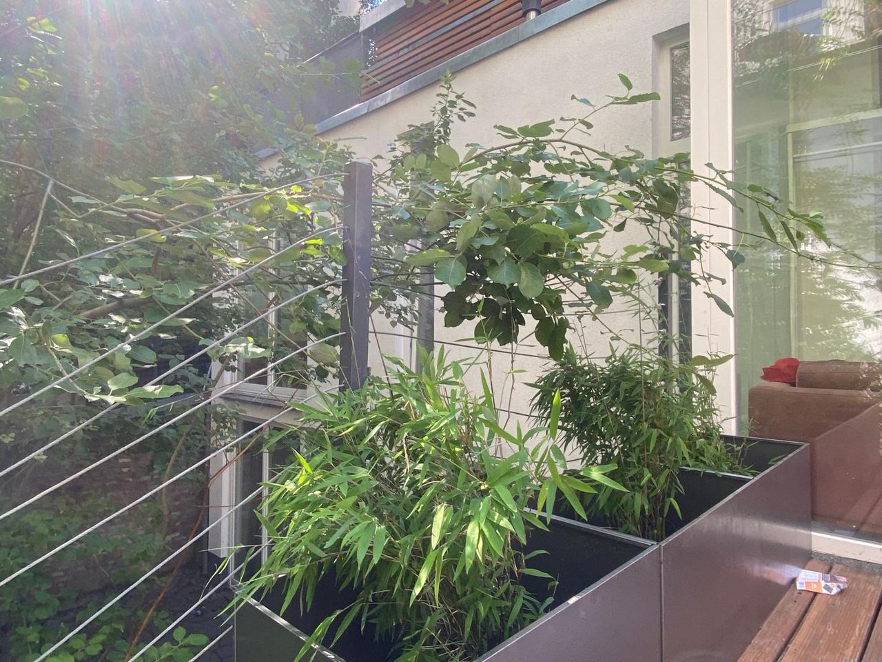 Glass house in the garden