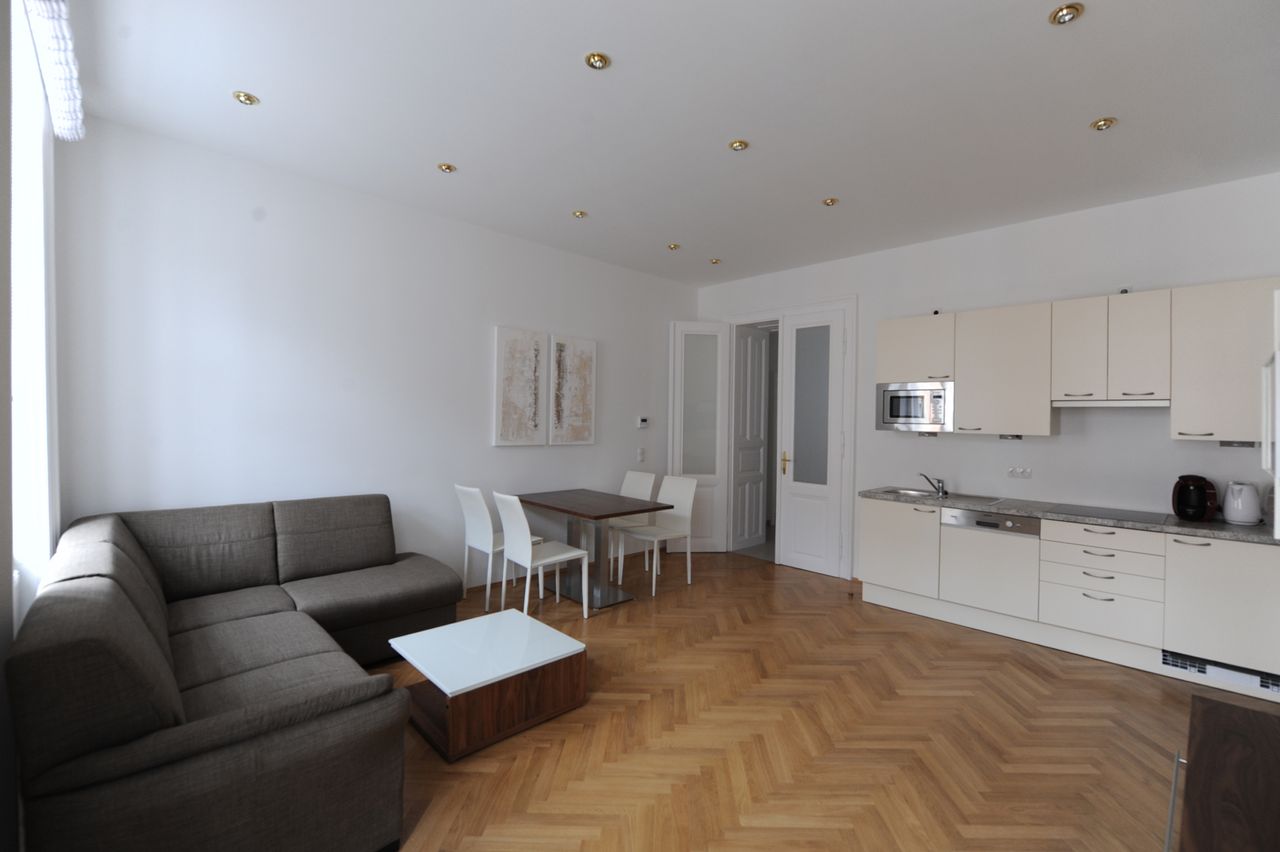 Beautiful, modern apartment near city center (Vienna)