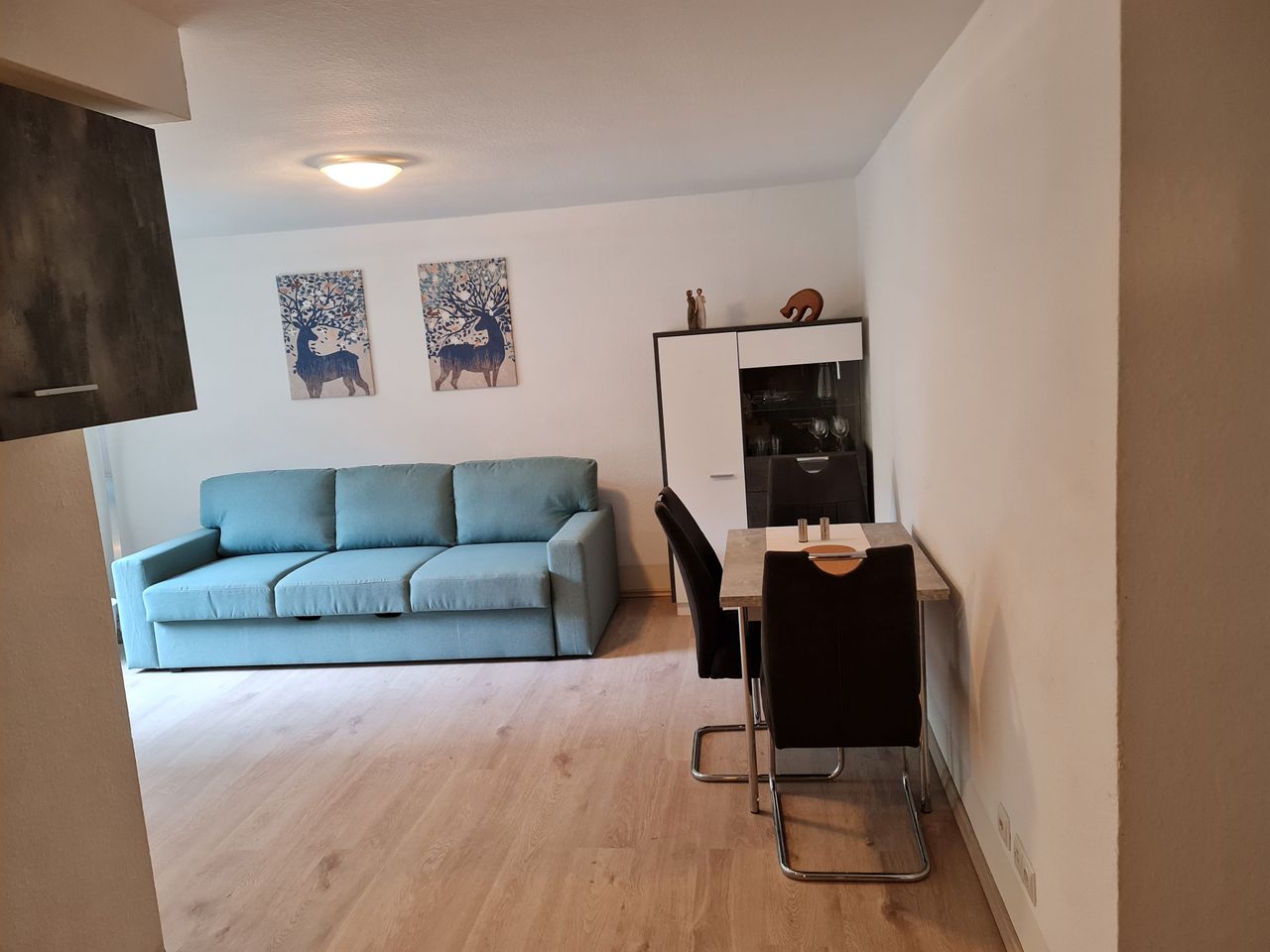 Garden - 2 Room, fully furnished, renovated appartment