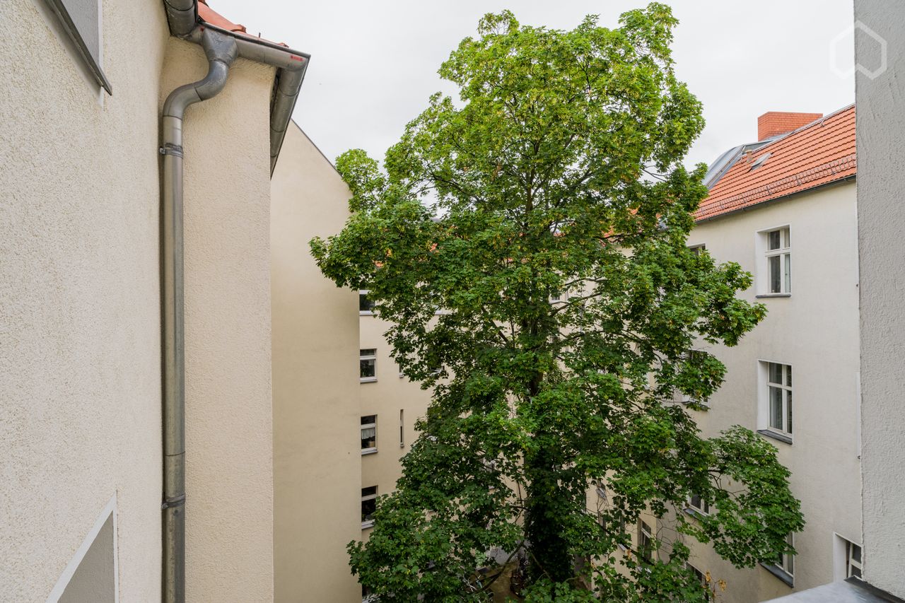 bright and cosy apartment in most wanted Prenzlauer Berg, close to Kollwitzkiez