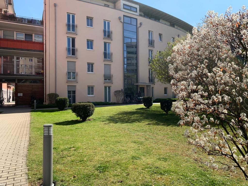 Gorgeous flat (München) close to Olympia park