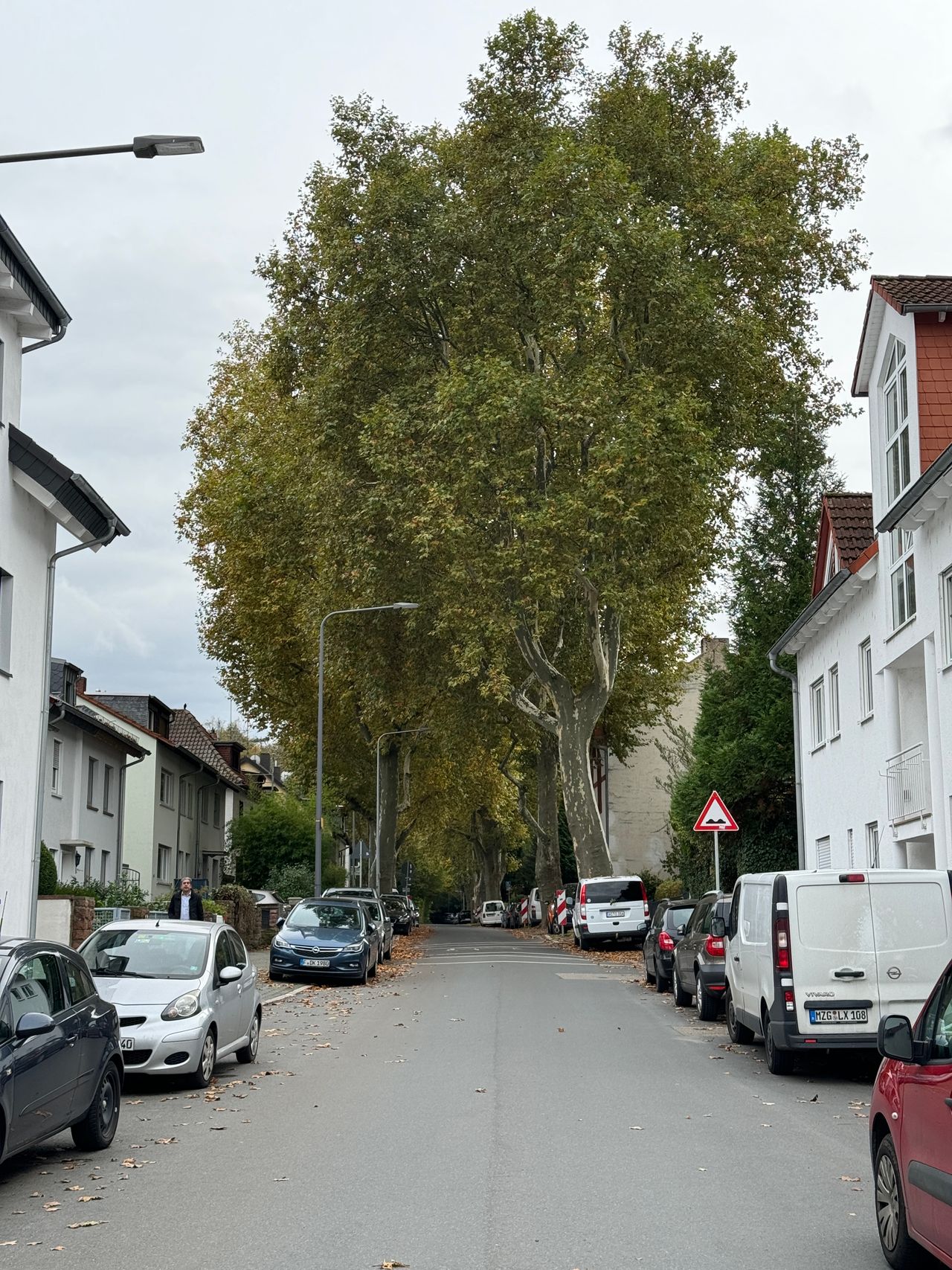 Close to the city, ECB & forest: Freshly renovated 3-room apartment (ground floor) in Frankfurt/Main-Oberrad