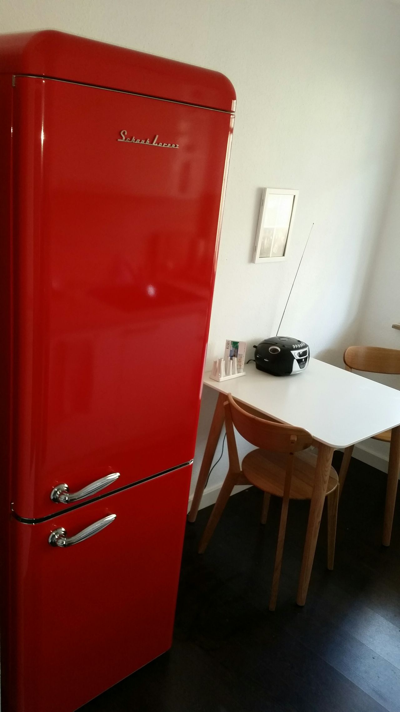 Comfortable apartment near the center and the Rhine to relax