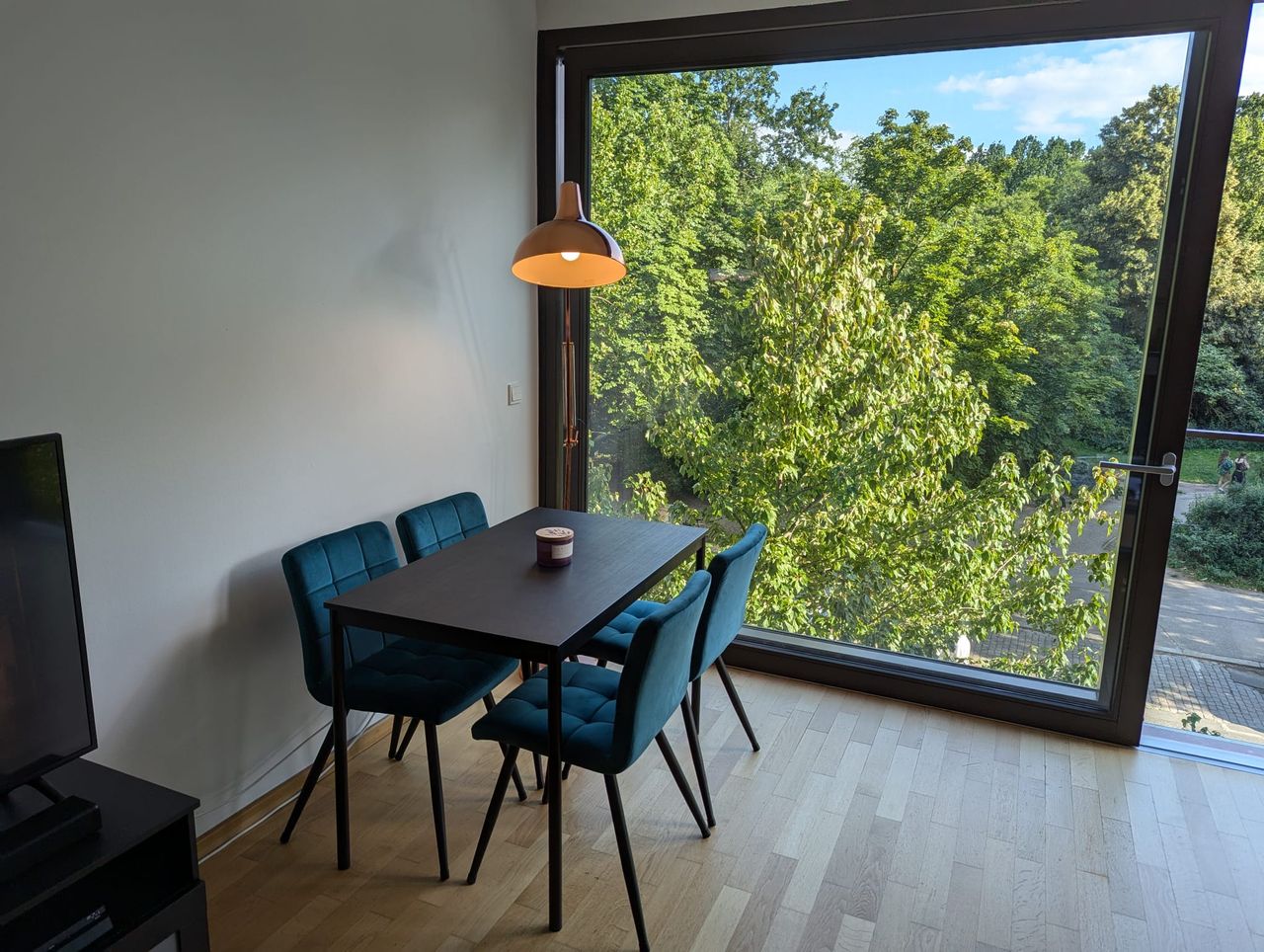 Fancy apartment in Prenzlauer Berg with view on Mauerpark