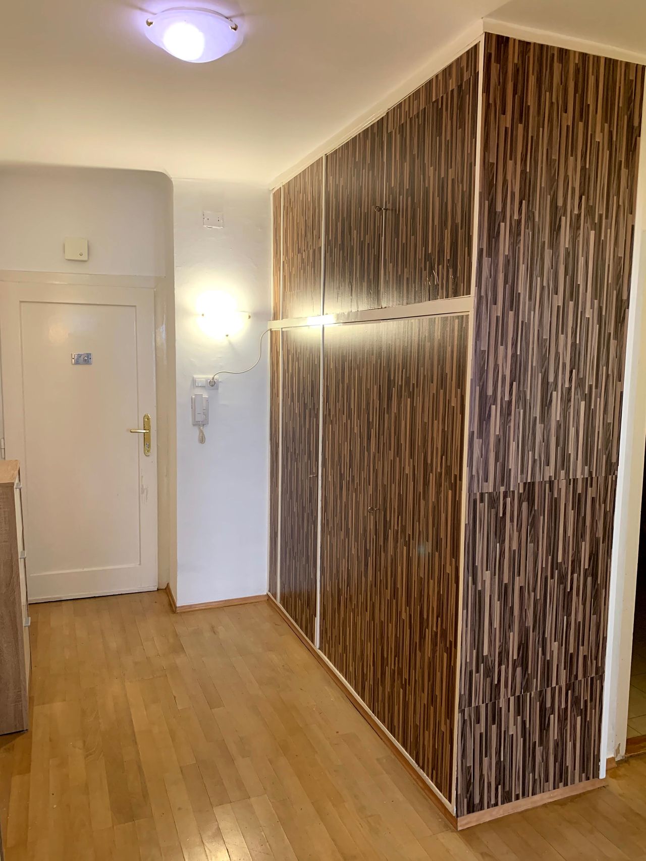 Great & spacious studio in first district, Wien