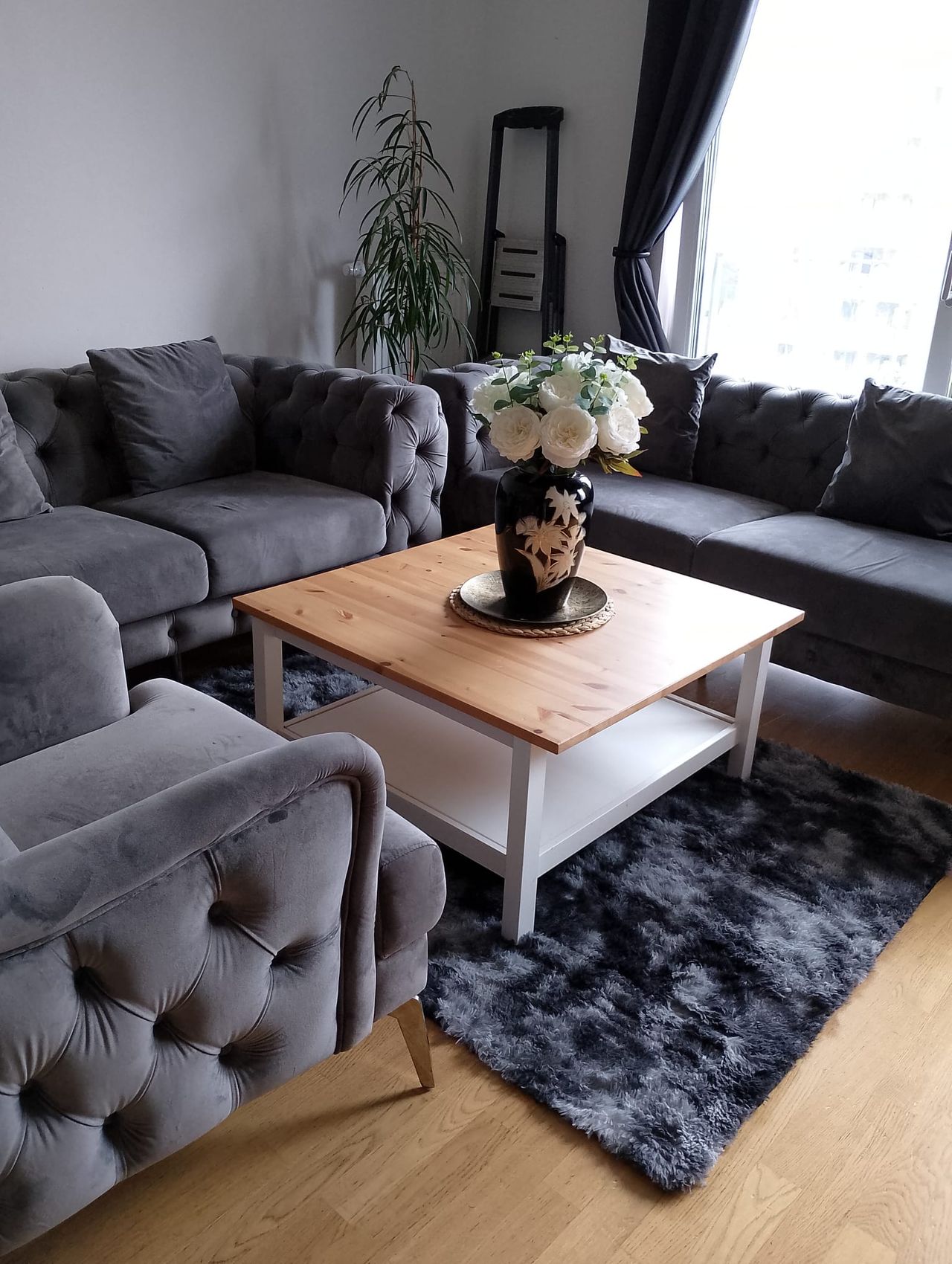 Fantastic single room in VEGETARIAN apartment located in Kreuzberg