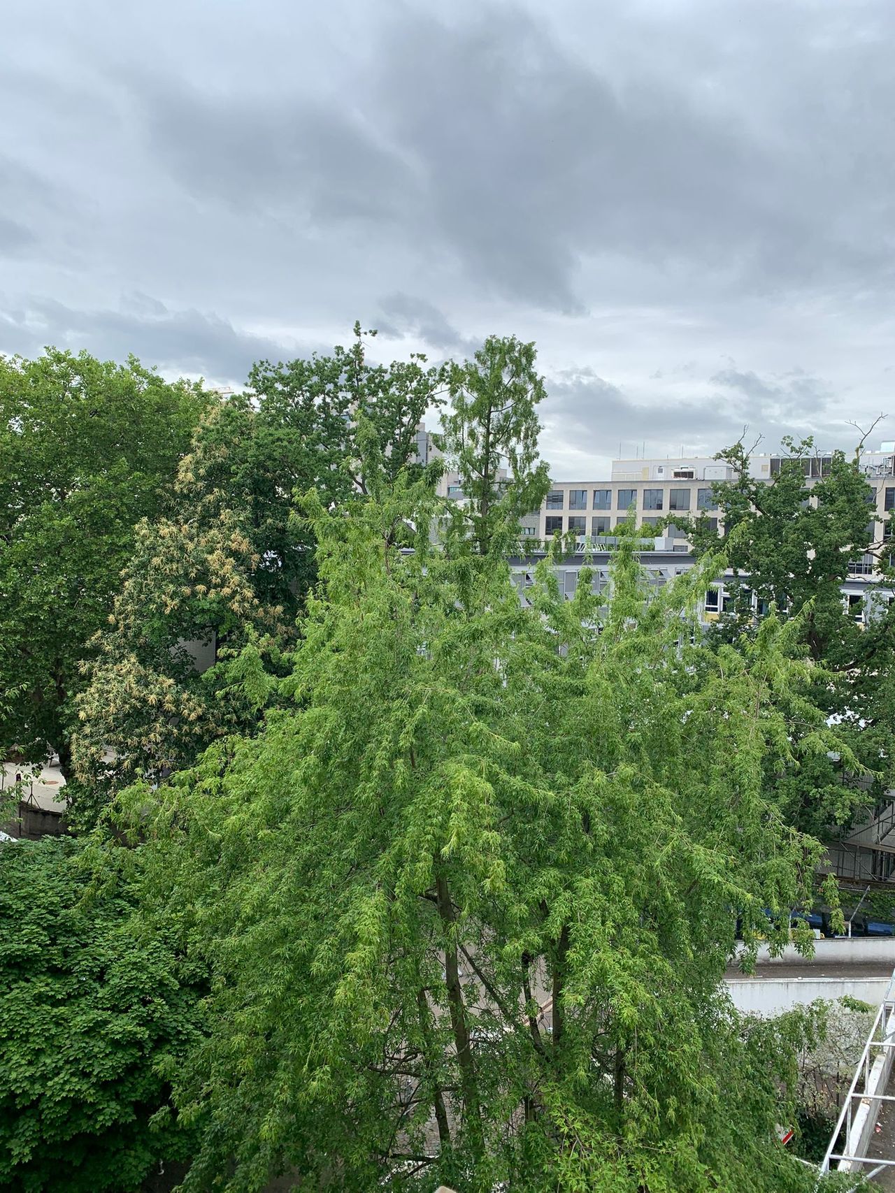 Fantastic fully furnished & fully equipped maisonette apartment directly in the city center with balcony
