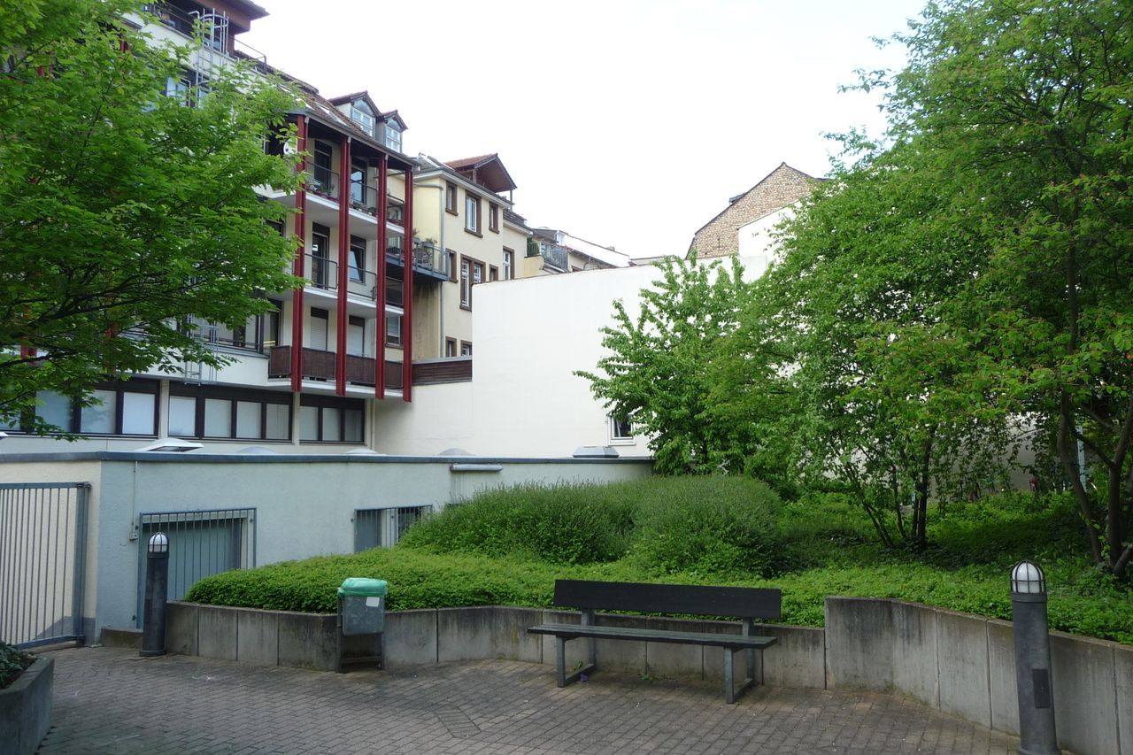 Beautiful west town apartment in Heidelberg with Gaisberg view!