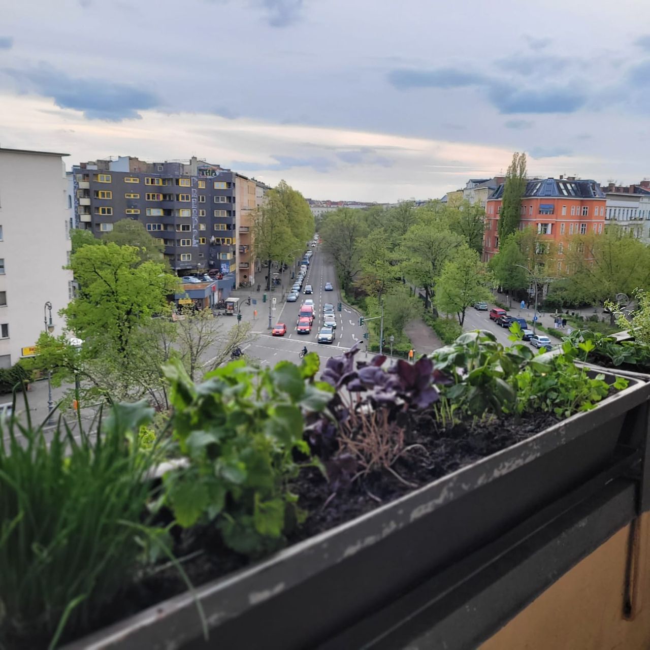 Charming Three-Room Apartment with South-Facing Balcony in the Heart of Berlin