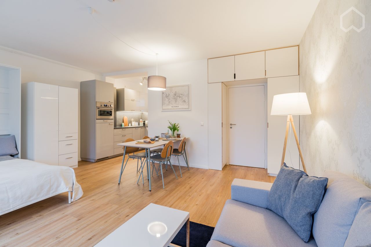Quiet, fully renovated and furnished studio with a unique south-facing roof terrace