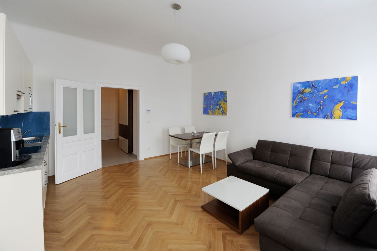 Beautiful, modern apartment near city center (Vienna)