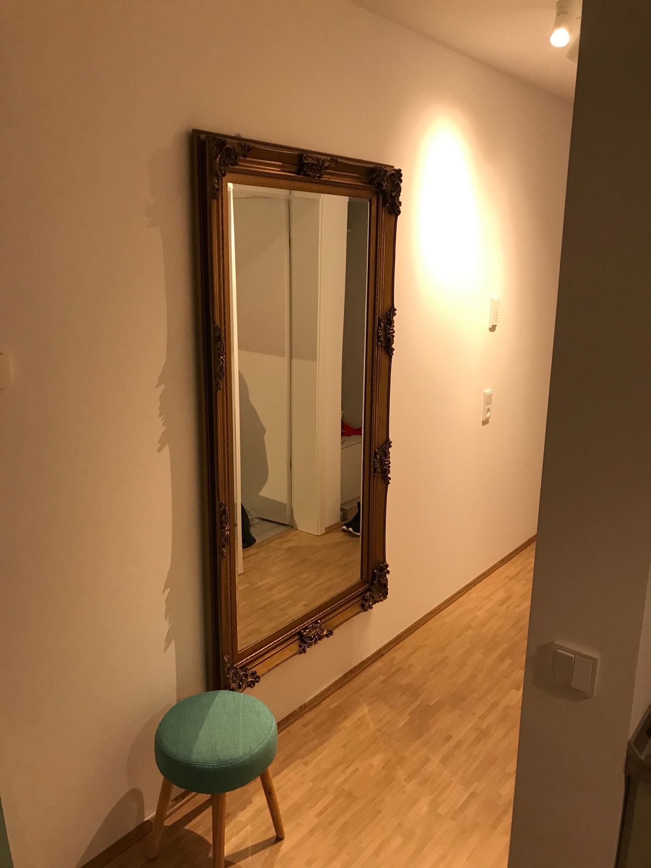 Quiet apartment in Dresden