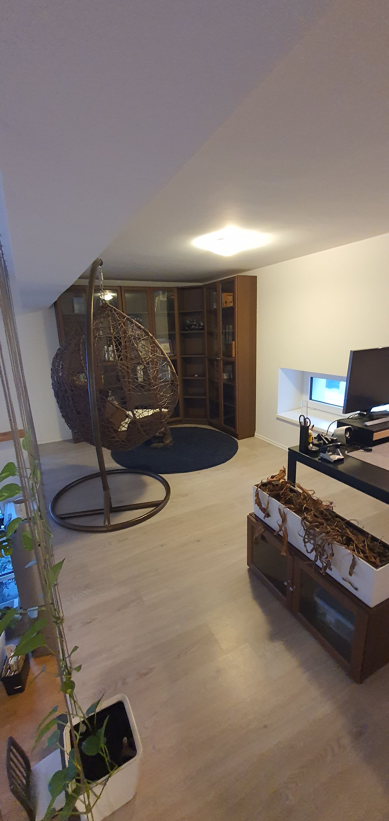Loft apartment in Dresden - pet-friendly, terrace, parking