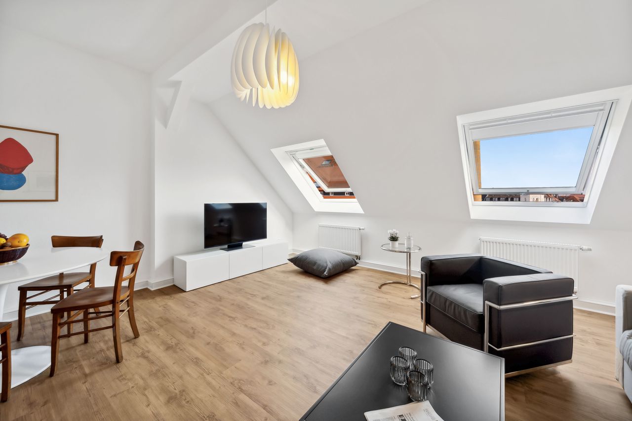 Spacious, newly renovated and top-equipped apartment with roof terrace