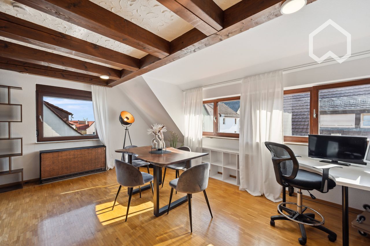 Exclusive 2 room Duplex Apartment with Breathtaking View in Stuttgart-Degerloch