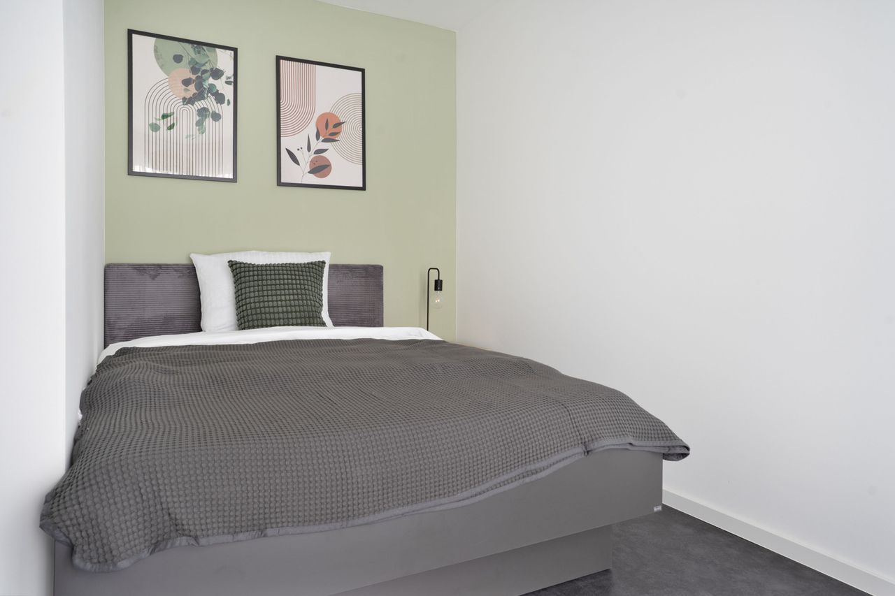 Deluxe 2-bedroom Apartment | center