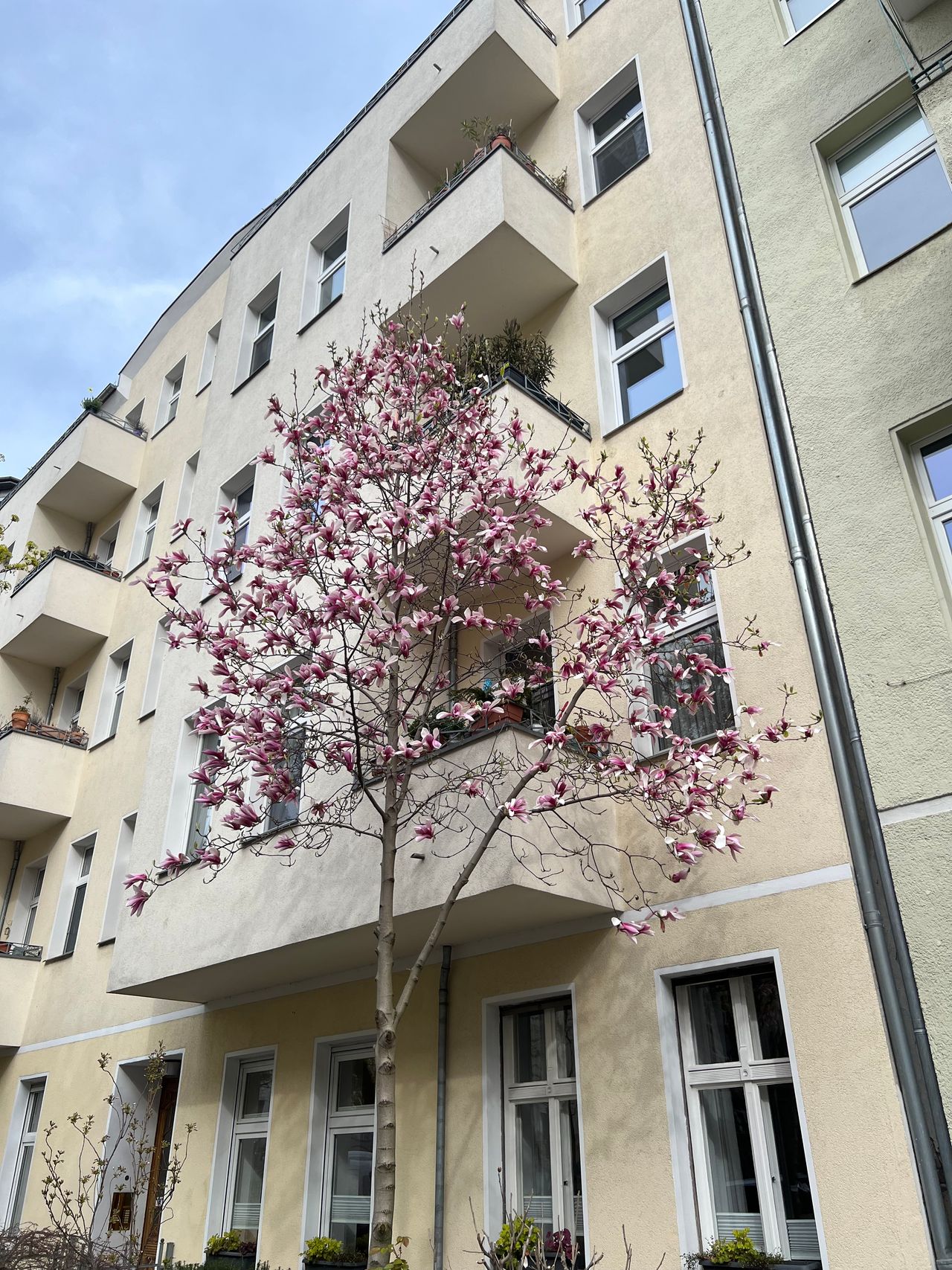 80 Sqm in the heart of Berlin