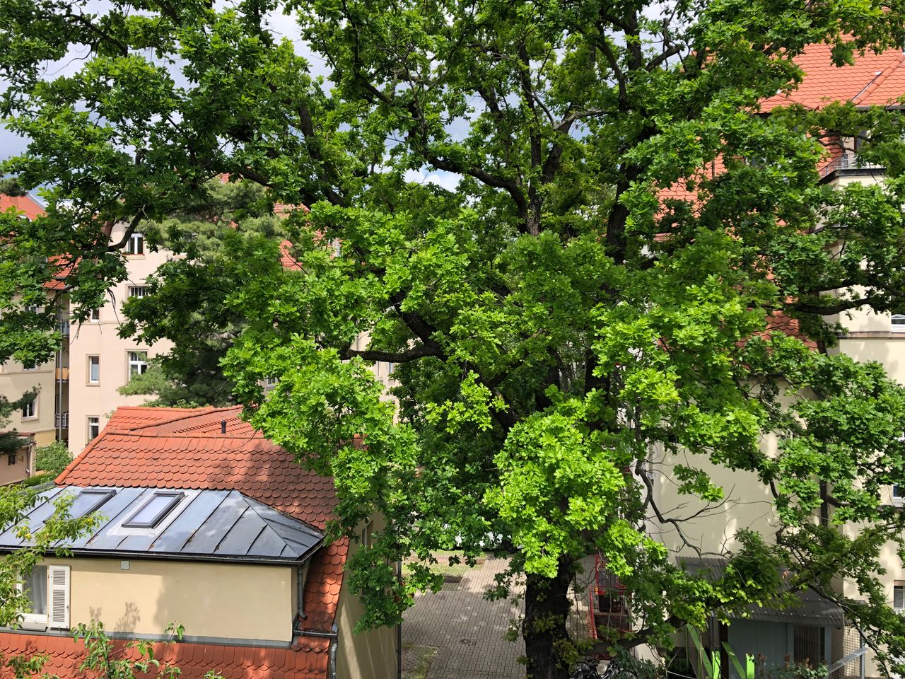 Quiet 1-room apartment with a covered balcony near the Prießnitz