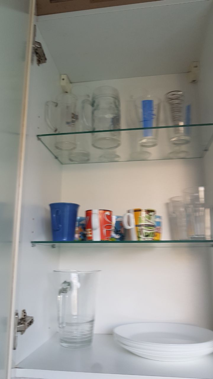 Quiet and calm furnished apartment available in the neighbourhood of Dresden