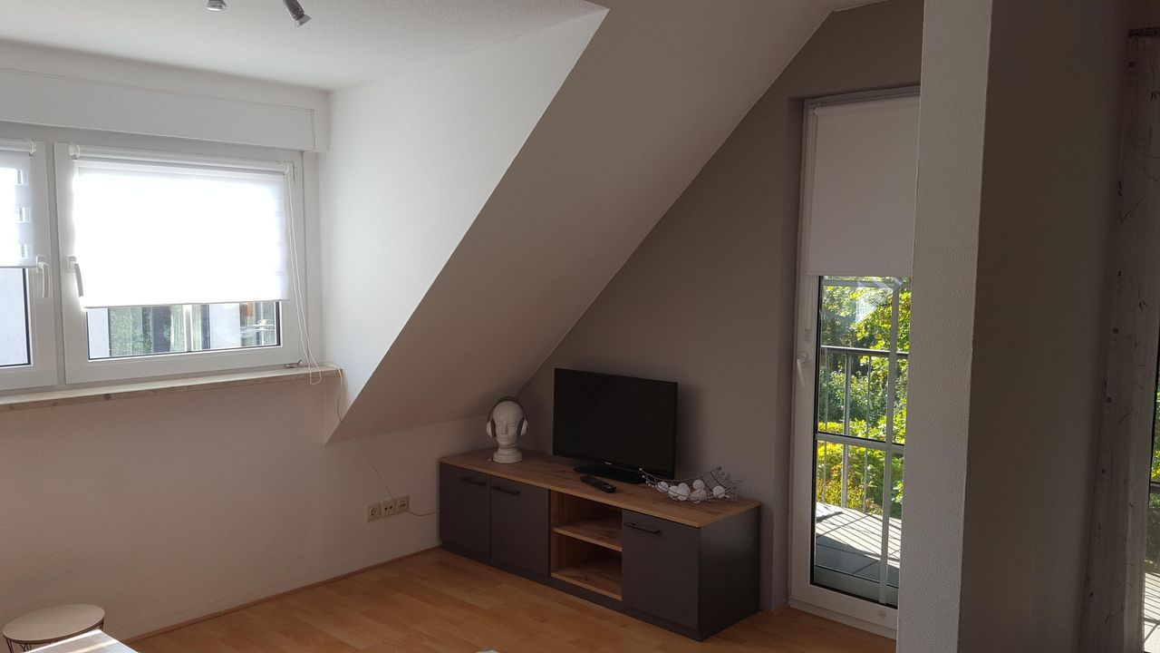 Friendly, bright, furnished and fully equipped 2.5 room apartment (Nbg. Süd-West-Park) Fashionable home in Nuremberg