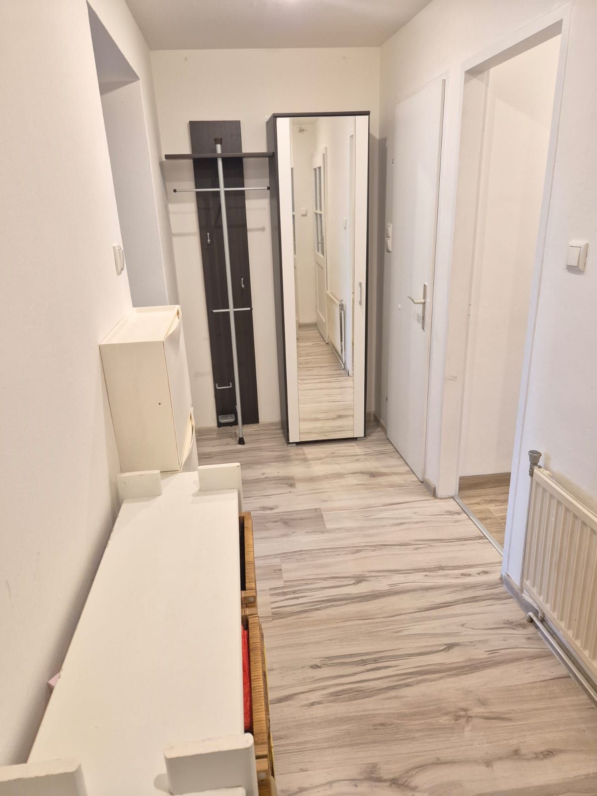 Great & lovely apartment