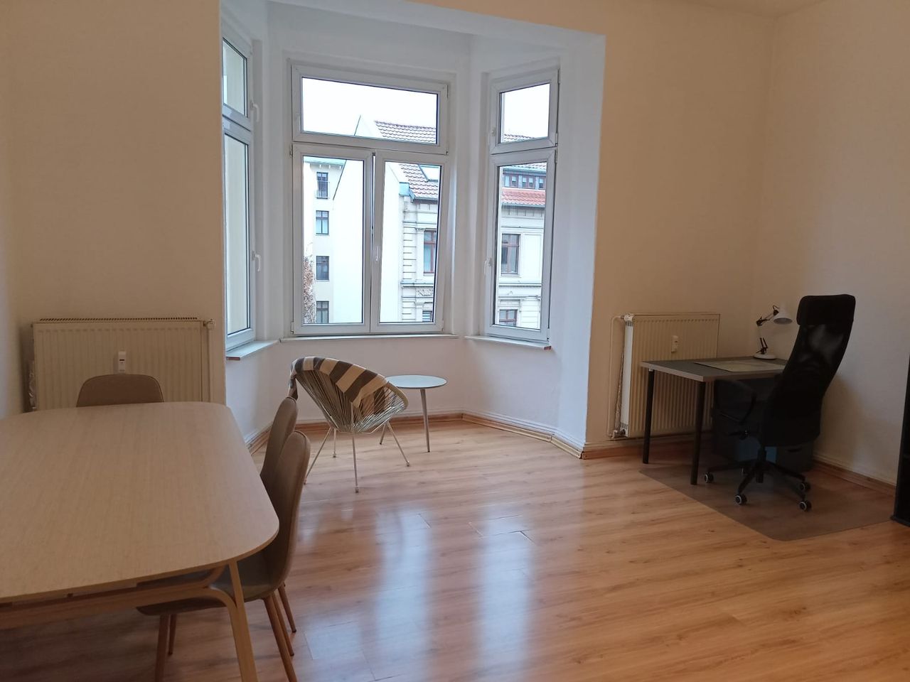 Representative and bright apartment in the heart of Magdeburg