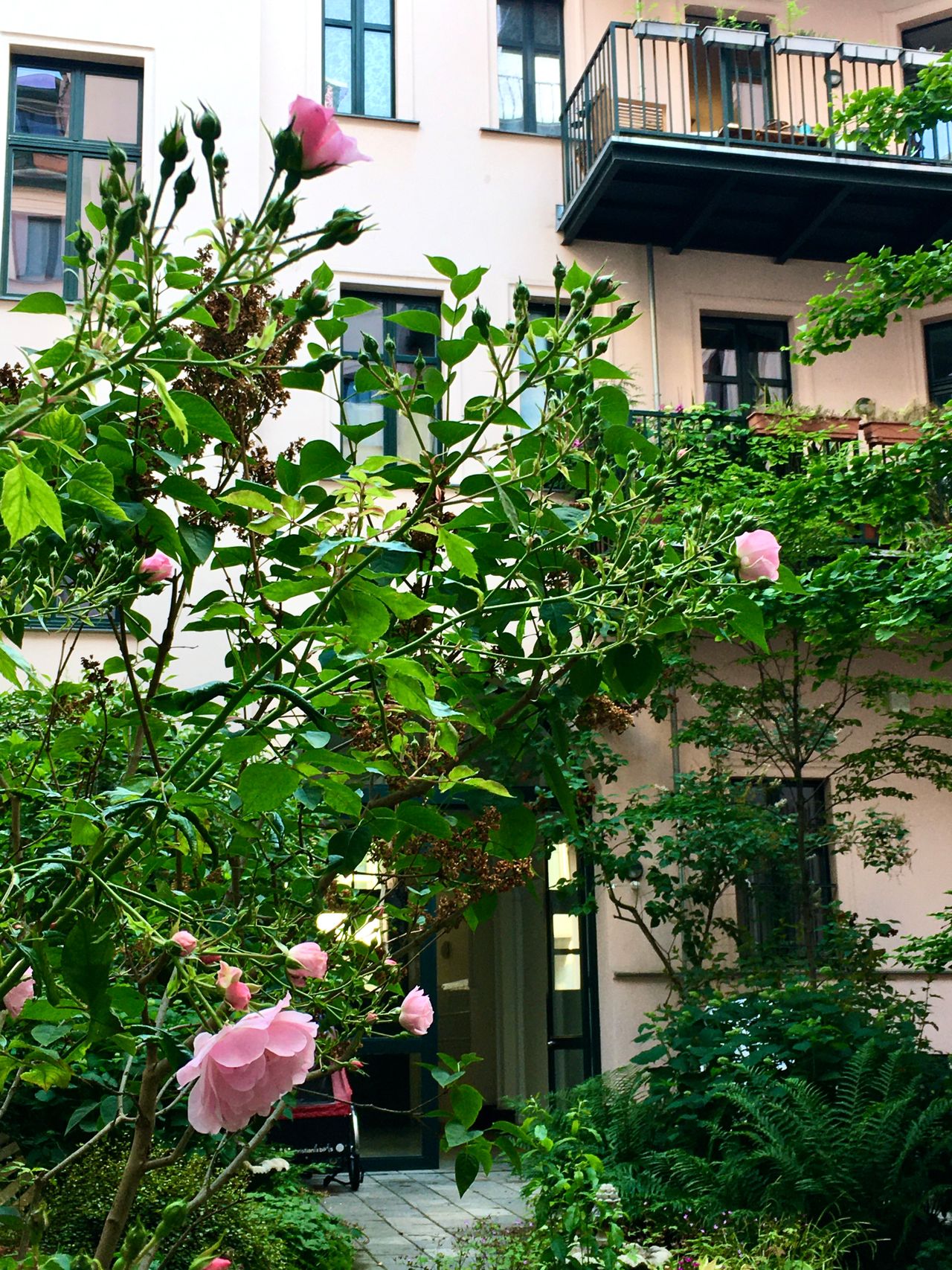 Romantic quiet apartment  in Berlin-Mitte Hackescher Markt