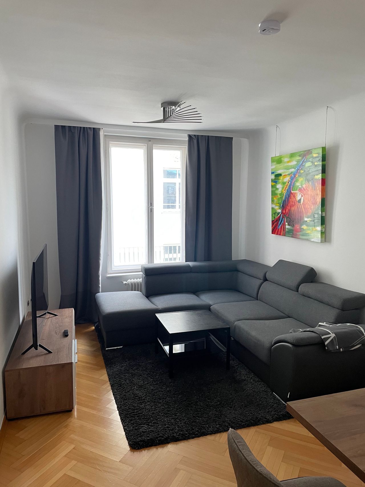 Great & spacious studio in first district, Wien