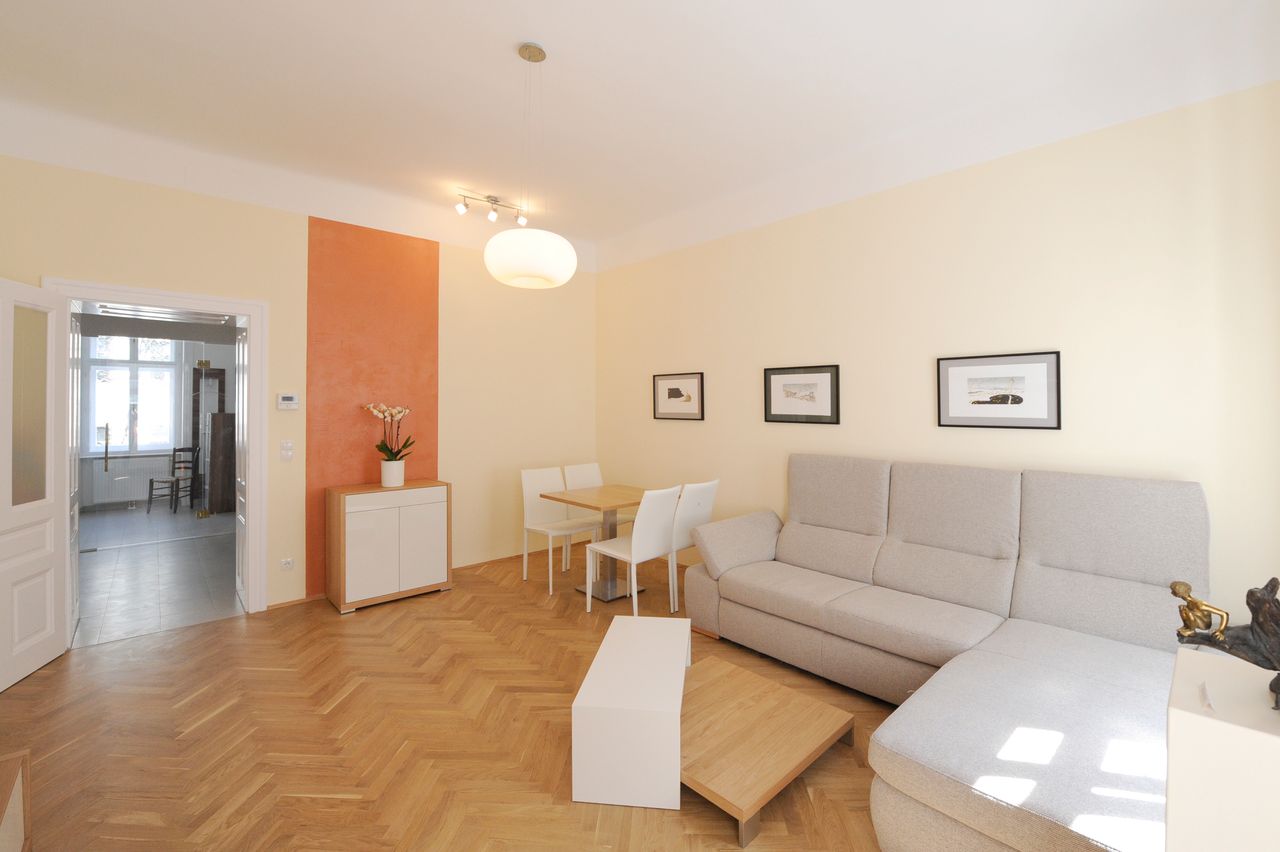 Beautiful, modern apartment near city center (Vienna)