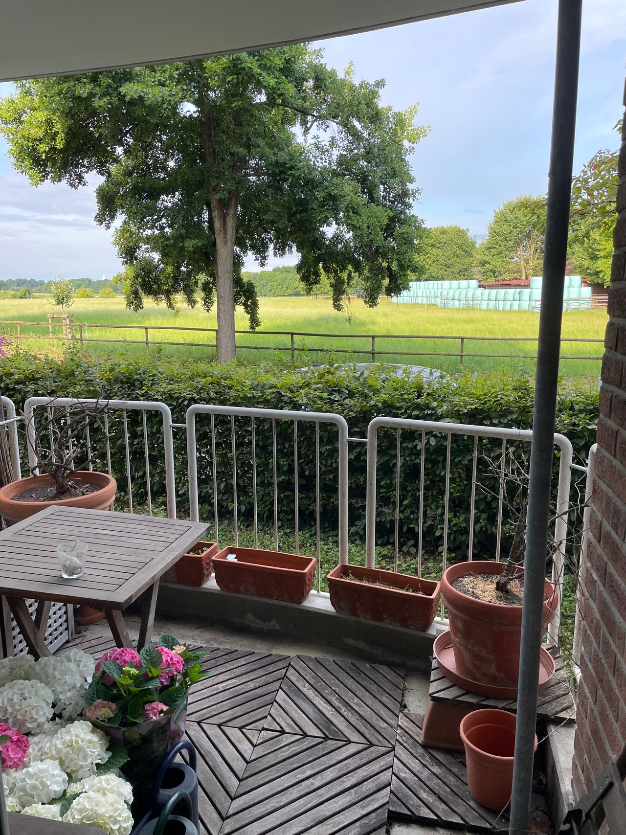 Düsseldorf: Temporary letting from August/September until spring 26:  Very nice, quietly located and furnished 2-room flat with balcony.