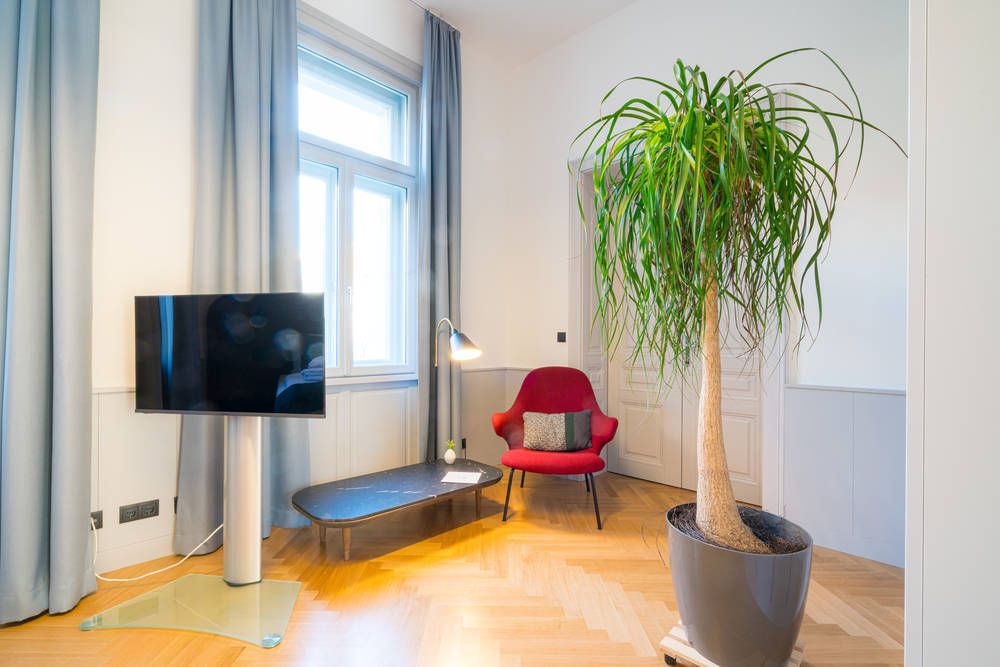 Bright air conditioned flat near to the Austrian Parliament