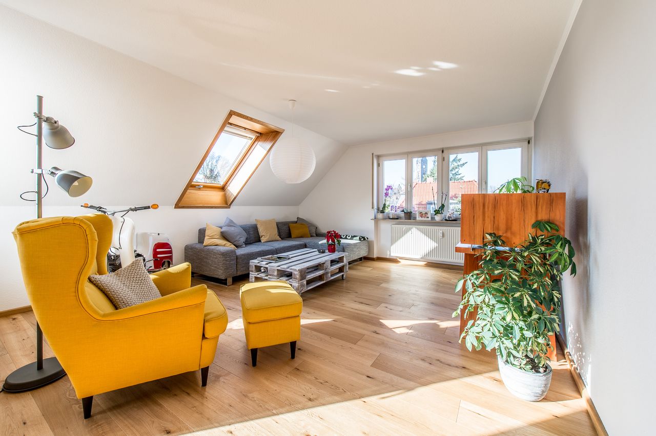 Spacious and fashionable flat in Dresden