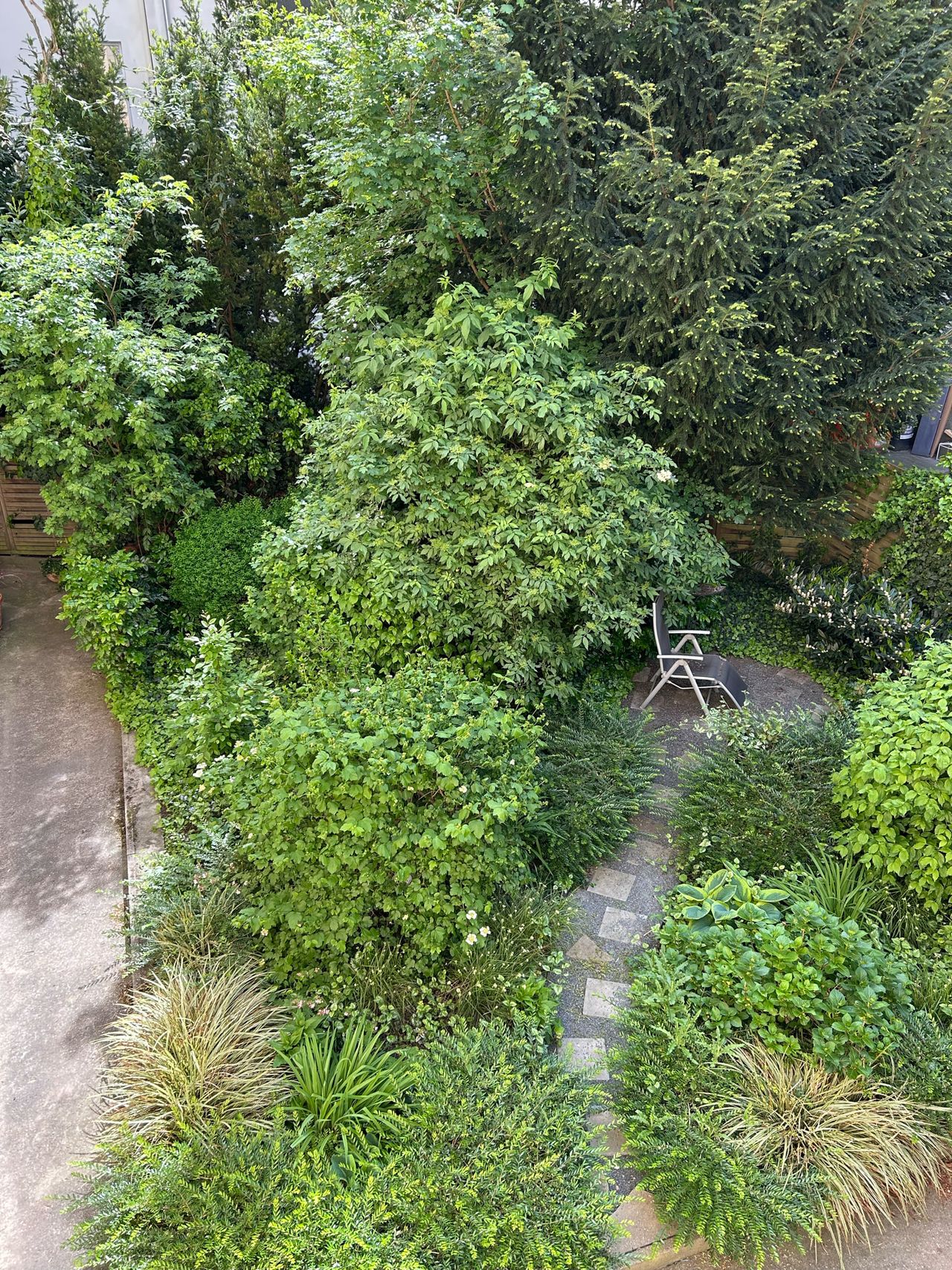 Spacious family home in Friedenau/Steglitz